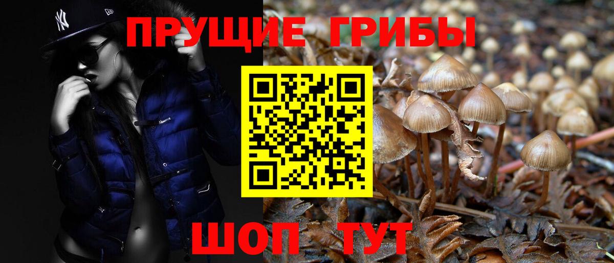 Псилоцибиновые грибы Magic Shrooms Шебекино