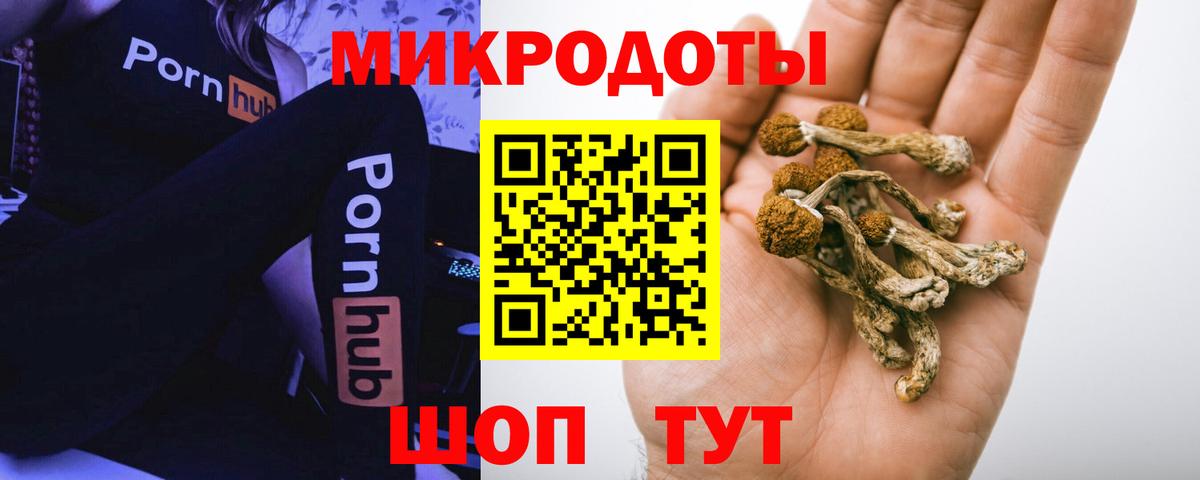 Галлюциногенные грибы мицелий  Вход с VPN  Шебекино 
