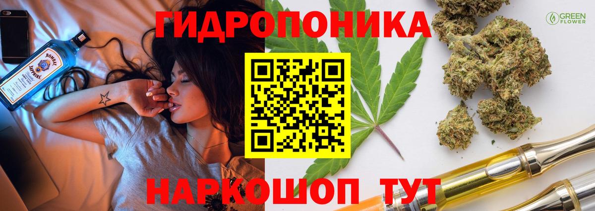 Шишки марихуана гибрид Шебекино